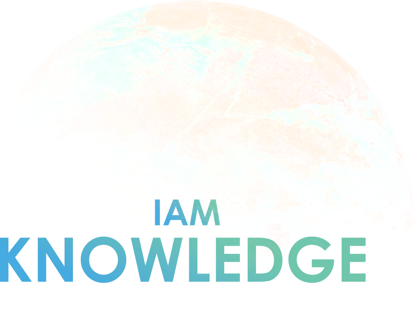 IAM Knowledge illustrated globe